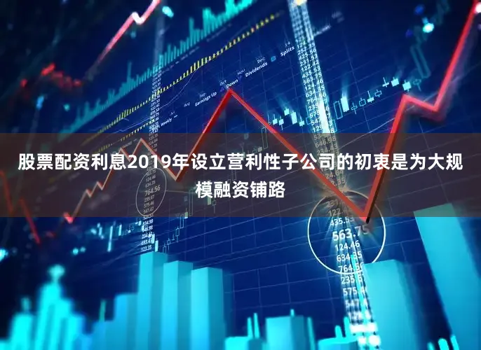 股票配资利息2019年设立营利性子公司的初衷是为大规模融资铺路