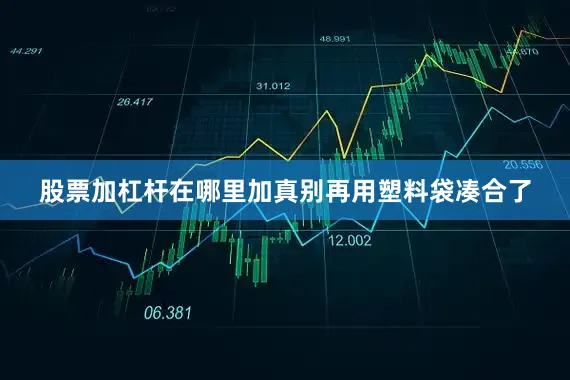 股票加杠杆在哪里加真别再用塑料袋凑合了