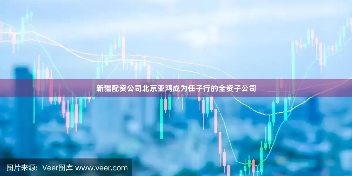 新疆配资公司北京亚鸿成为任子行的全资子公司