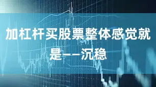 加杠杆买股票整体感觉就是——沉稳
