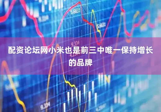 配资论坛网小米也是前三中唯一保持增长的品牌