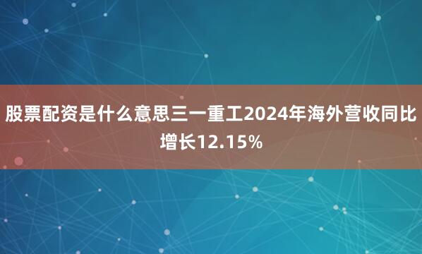 股票配资是什么意思三一重工2024年海外营收同比增长12.15%